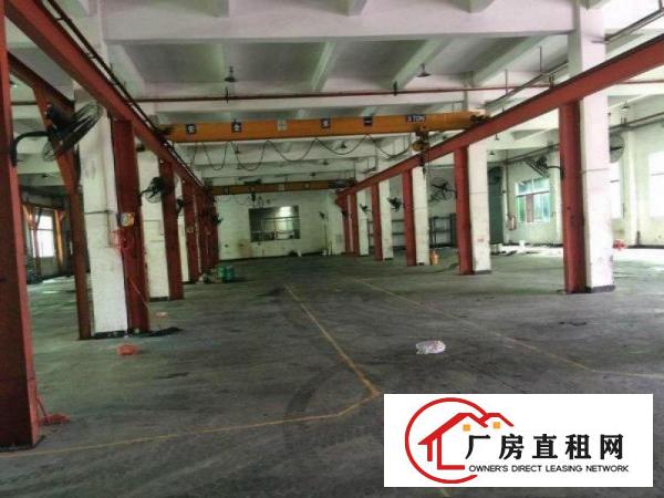 
常平总面积7800平米独院厂房，一楼6.5米