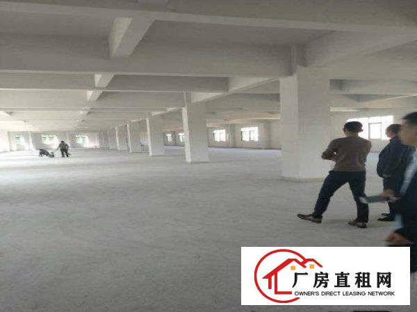
常平环城路边分租一楼1300方厂房招租
