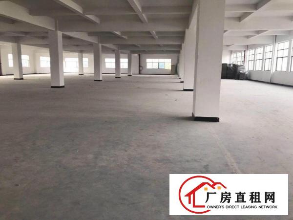 
常平袁山贝新出7900平方独门独院采光好的厂房出租