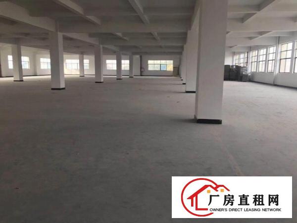 
常平袁山贝新出7900平方独门独院采光好的厂房出租