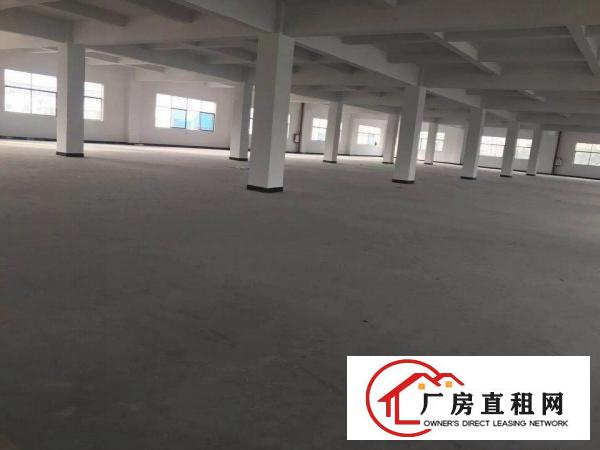 
常平袁山贝新出7900平方独门独院采光好的厂房出租
