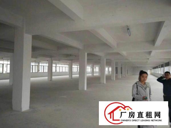 
常平（原房东独栋）一二楼1000平米出租