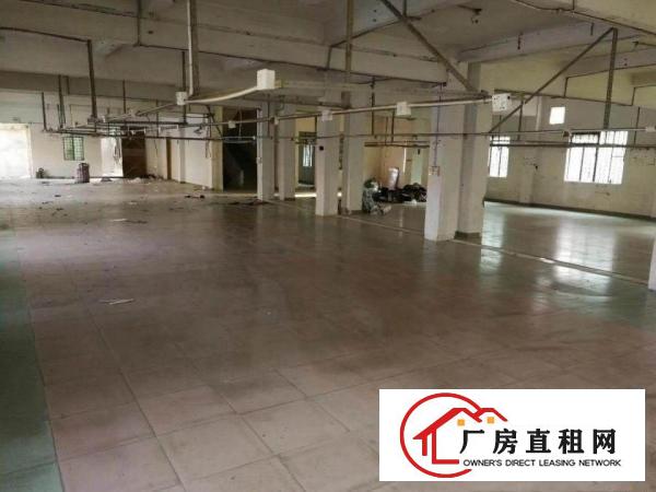 
（带装修）3600平米厂房在常平土塘独院招租