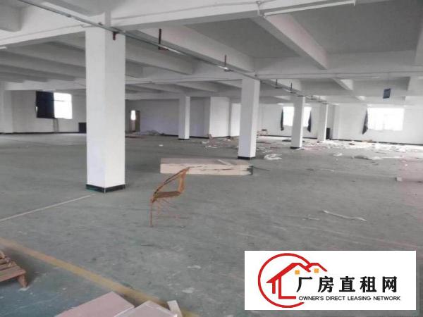
（带装修）3600平米厂房在常平土塘独院招租