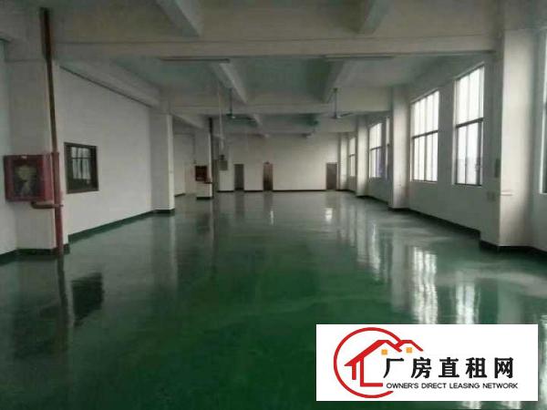 
带装修900平米厂房在常平袁山贝科技园招租（免转）