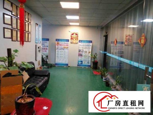 
豪华装修400平米转租常平白石岗科技园（非中介）