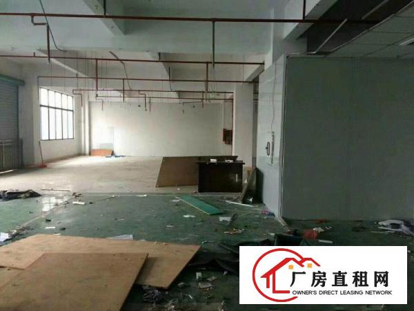 
（实用面积800出租）常平元江元少数无公摊厂房出租
