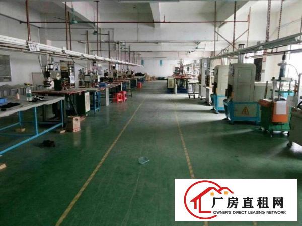
（实用面积800出租）常平元江元少数无公摊厂房出租