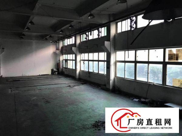 
常平苏坑大型工业区新出原房东标准厂房一楼650平方