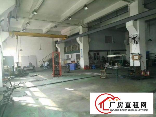 
常平苏坑大型工业区新出原房东标准厂房一楼650平方