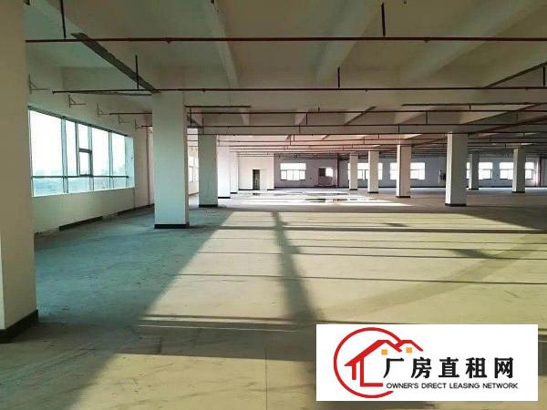 
常平工业园1楼上300平方至3000平方厂房出租
