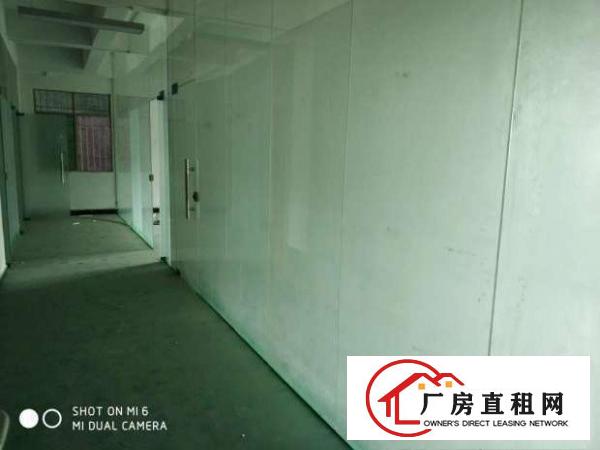 
（全新装修免费送）常平桥沥二楼1300平米厂房招租