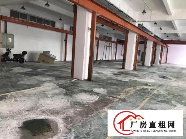 
常平袁山贝新出一楼精装修厂房900平方出租