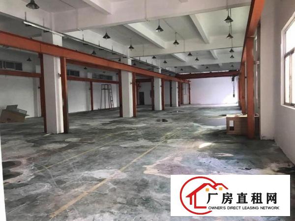 
常平袁山贝新出一楼精装修厂房900平方出租