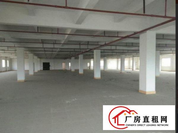 
常平卢屋独院厂房5400平方抢租