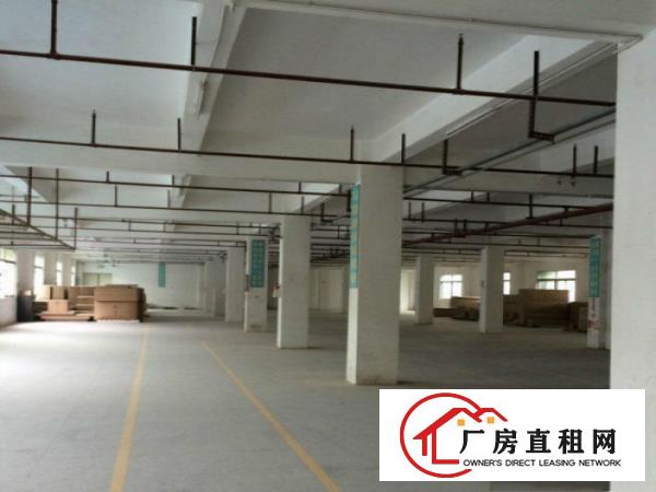 
常平卢屋独院厂房5400平方抢租