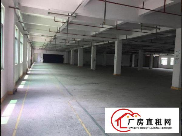 
常平漱旧新出原房东一楼2000平方厂房出租