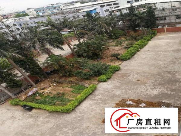 
独门独院标准厂房7000，厂房位置易招工