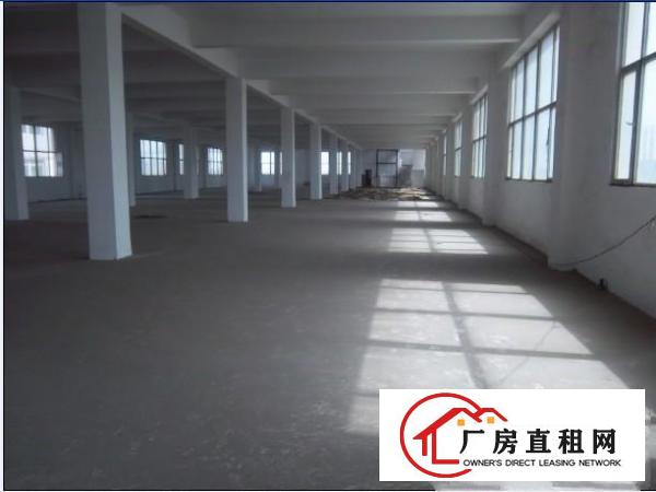 
3000平方独院标准厂房，欢迎来整租