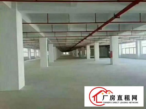 
原房东标准独院，配2部电梯，大马路边，好招工