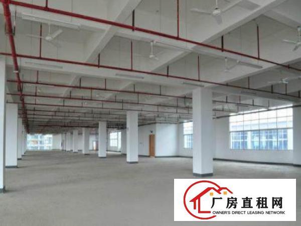 
原房东标准独院，配2部电梯，大马路边，好招工