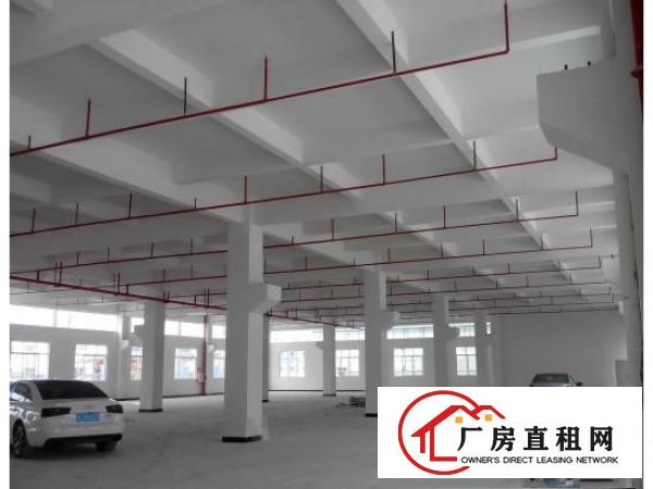
原房东标准独院，配2部电梯，大马路边，好招工