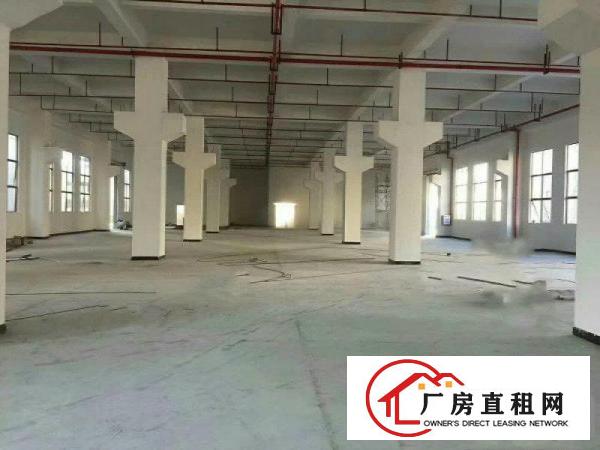 
原房东标准独院，配2部电梯，大马路边，好招工