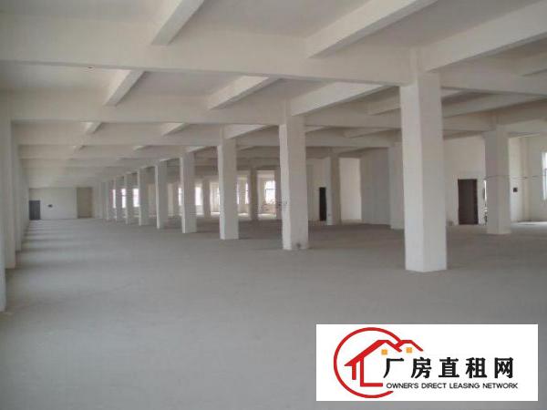 
原房东精品独院，标准带装修660平方厂房，价格实惠