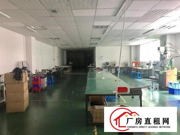 
常平塘角鸿远科技园新出精装修厂房楼上460平方出租
