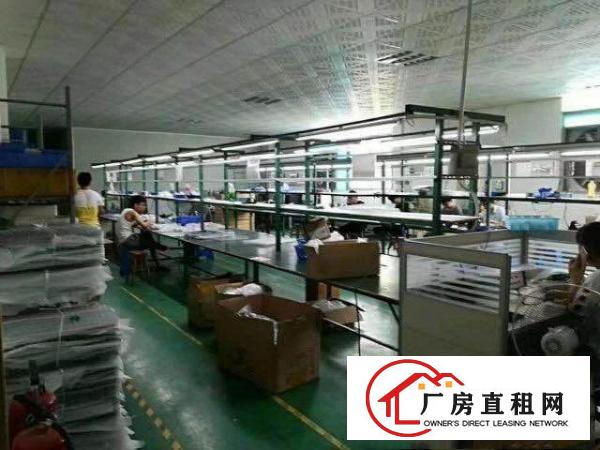 
常平土塘工业园新出楼上1080平方带装修厂房出租