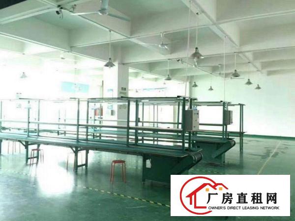 
常平桥梓新出12000平方独门独院豪华装修厂房出租