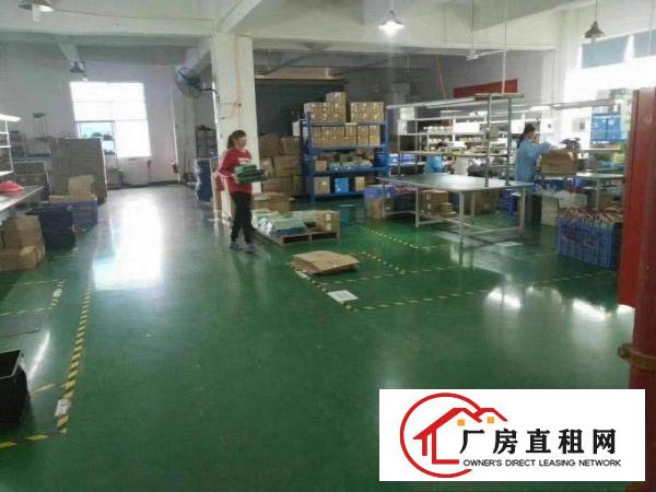 
常平桥梓新出12000平方独门独院豪华装修厂房出租