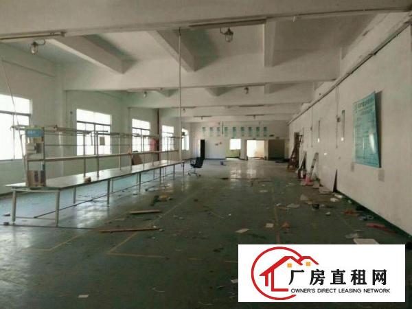 
常平新出920平1400平1000平等装修厂房出租