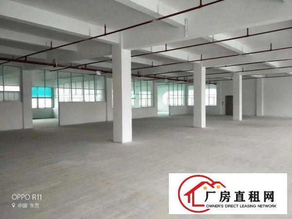 
常平朗洲工业区新出楼上820平方带精装修厂房出租