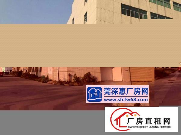
常平新出全新独门独院厂房面积6200平方厂房招租