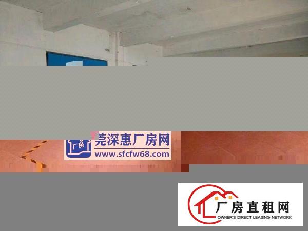 
常平新出全新独门独院厂房面积6200平方厂房招租