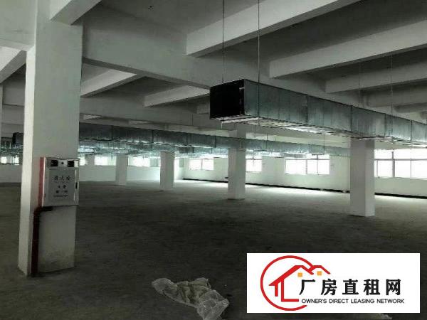 
常平桥梓南通邦工业区一楼6米高750平厂房出租