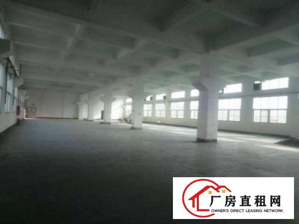 
宝龙独院厂房4050平米租20元
