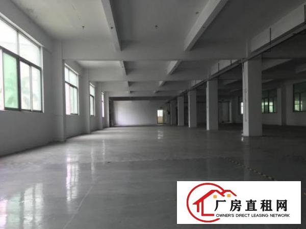 
同乐3楼整层1450平标准厂房租14元