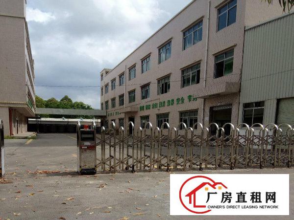 
龙岗6200平米独院厂房出租