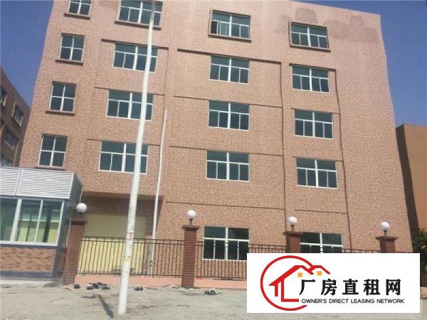 
可办环评、带管理、可分租、广州南沙5500方出租