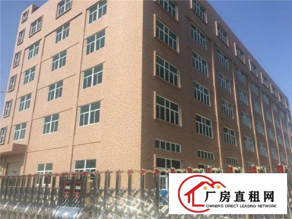 
可办环评、带管理、可分租、广州南沙5500方出租