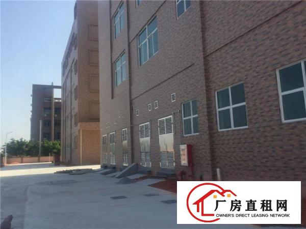 
可办环评、带管理、可分租、广州南沙5500方出租