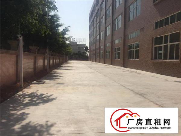 
可办环评、带管理、可分租、广州南沙5500方出租