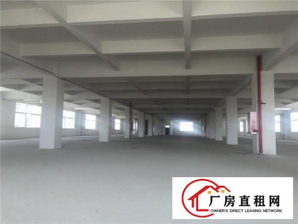 
可办环评、带管理、可分租、广州南沙5500方出租