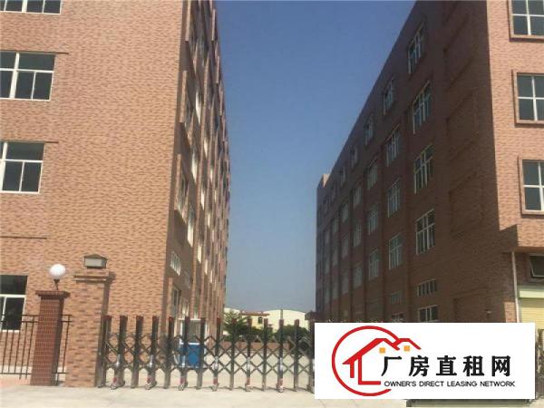 
智能行业、政府补贴、广州市南沙区6000方厂房出租