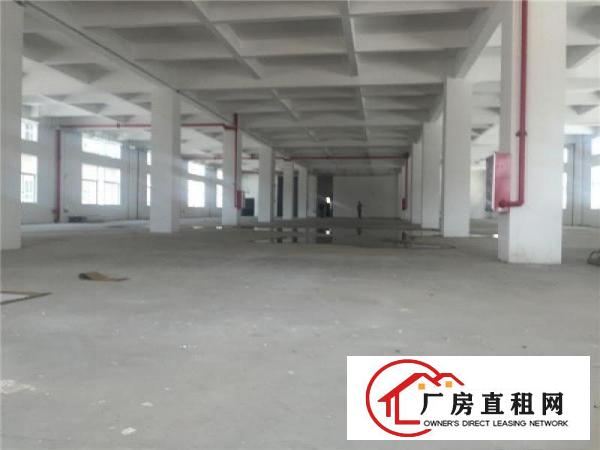 
智能行业、政府补贴、广州市南沙区6000方厂房出租