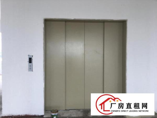 
智能行业、政府补贴、广州市南沙区6000方厂房出租