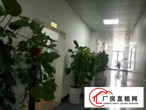 
宝龙新出原房东豪华装修楼上1286平出租