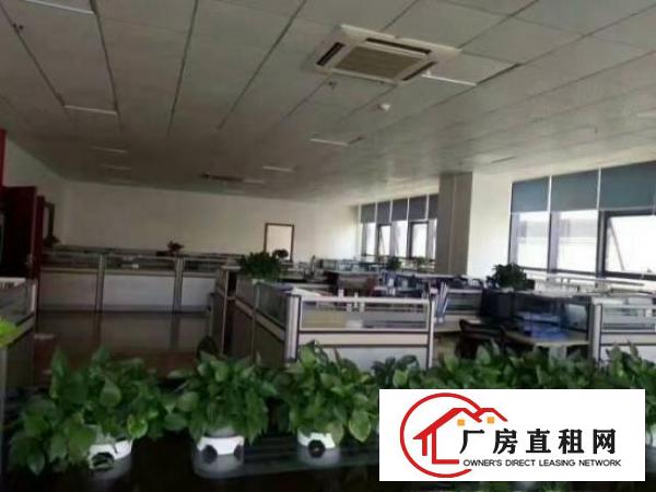 
宝龙新出原房东豪华装修楼上1286平出租